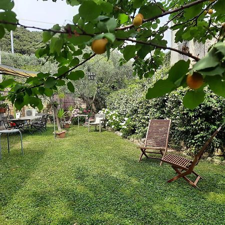 Casa Olivia Lacrema Finale Ligure Exteriör bild